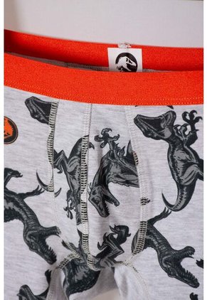 Pack X2 Boxer De Jurassic World Multicolor Para Niño 6