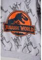 Conjunto De Jurassic World Con Jogger Gris Para Niño 8 de Universal