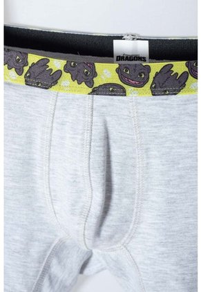 Pack X2 Boxer Cómo Entrenar A Tu Dragón Gris, Negro Y Verde En Dúo Para Niño 10