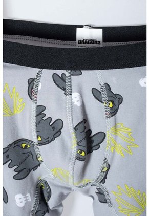 Pack X2 Boxer Cómo Entrenar A Tu Dragón Gris, Negro Y Verde En Dúo Para Niño 8