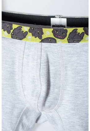 Pack X2 Boxer Cómo Entrenar A Tu Dragón Gris, Negro Y Verde En Dúo Para Niño 8