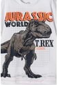 Conjunto De Jurassic World Con Bermuda Multicolor Para Niño 6 de Universal