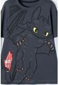 Camiseta Cómo Entrenar A Tu Dragón Gris Manga Larga Para Niño 12 de Universal