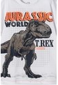 Conjunto De Jurassic World Con Bermuda Multicolor Para Niño 4 de Universal