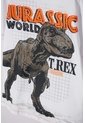 Conjunto De Jurassic World Con Bermuda Multicolor Para Niño 4 de Universal