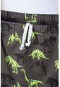Conjunto De Baño De Jurassic World Verde Para Niño 10 de Universal