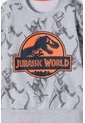 Conjunto De Jurassic World Con Jogger Gris Para Niño 10 de Universal