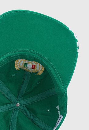 Gorra Verde Multicolor Us Polo Assn
