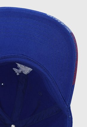 Gorra U.S. POLO ASSN. Azul