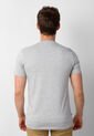 Camiseta U.S. POLO ASSN. Gris de US Polo Assn