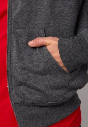 Hoodie U.S. POLO ASSN. Gris