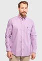 Camisa U.S. POLO ASSN. Violeta de US Polo Assn
