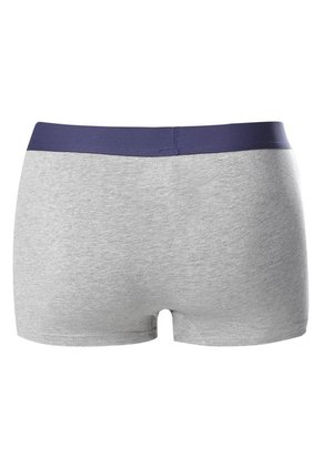 Dúo Bóxer Gris US Polo Assn.