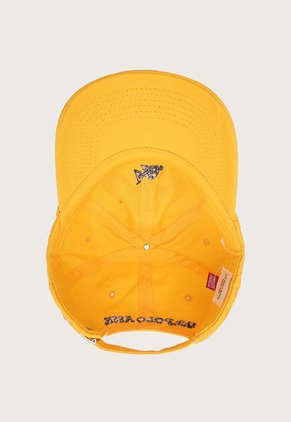 Gorra Amarillo-Azul Navy Us Polo Assn
