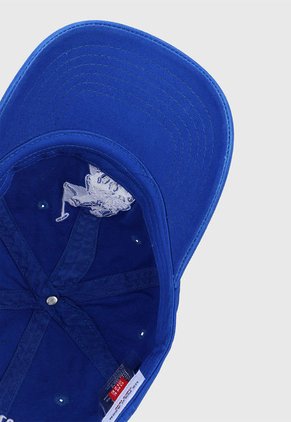 Gorra Azu-Blanco Us Polo Assn