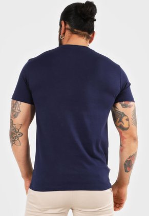 Camiseta Azul-Blanco-Rojo Us Polo Assn