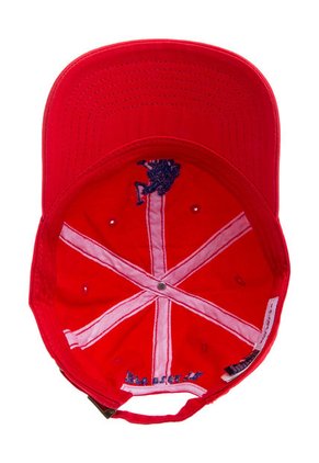Gorra Roja US Polo Assn
