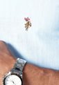 Camisa Celeste Us Polo Assn de US Polo Assn