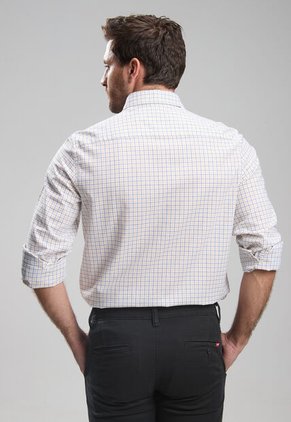 Camisa U.S. POLO ASSN. Multicolor