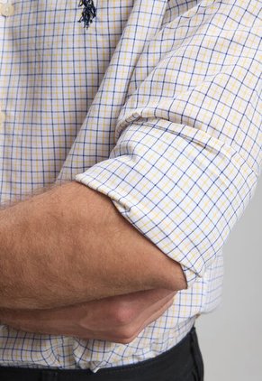 Camisa U.S. POLO ASSN. Multicolor