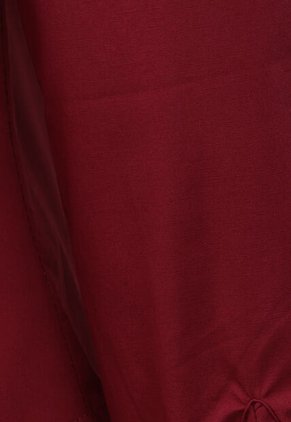 Camisa U.S. POLO ASSN. Borgoña