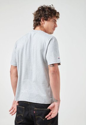 Camiseta Gris-Azul Navy-Blanco Us Polo Assn