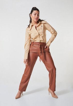 Camisa Caqui Us Polo Assn