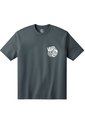 Camiseta Hombre VANS REPRESENTATIVE SS TE Gris Vans de Vans