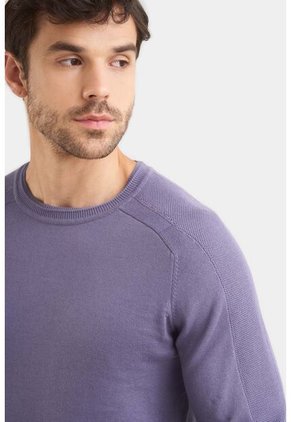 Sweater Tejido En Algodón Para Hombre Manga Ranglan Sweater Tejido En Algodón Para Hombre Manga Ranglan Lila L Vélez