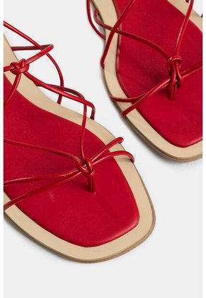 Sandalia Plana Geranio De Cuero Folia Para Mujer Amarre Al Tobillo Sandalia Plana Geranio De Cuero Folia Para Mujer Amarre Al Tobillo Rojo 38 VÉLEZ