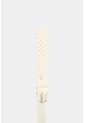 Cinturón Unifaz En Cuero Para Mujer Maia Cinturón Unifaz En Cuero Para Mujer Maia Crema XL VÉLEZ de Vélez