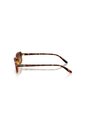 Gafas De Sol Vogue Eyewear VO5666S VO5666 Marrón Mujer de Vogue
