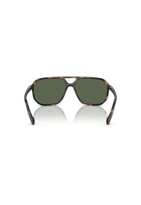 Gafas De Sol Vogue Eyewear VO5531 Marrón Hombre Polarizado