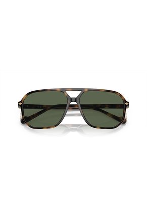 Gafas De Sol Vogue Eyewear VO5531 Marrón Hombre Polarizado