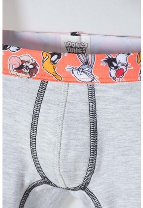 Pack X2 Boxer De Looney Tunes Naranja Y Gris Para Niño 2T A 5T 5T