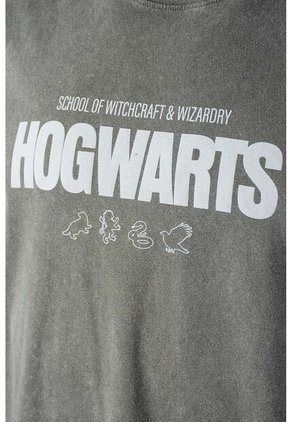 Camiseta De Harry Potter Gris Regular Fit Para Hombre M