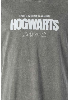 Camiseta De Harry Potter Gris Regular Fit Para Hombre M