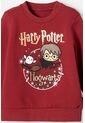 Conjunto De Harry Potter Rojo Bosque Para Bebé Niño 18-24 de WARNER BROS