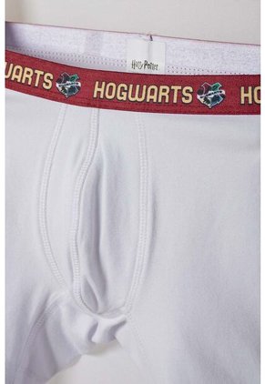 Pack X2 Boxer De Harry Potter Multicolor Para Niño 6