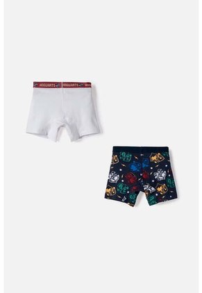 Pack X2 Boxer De Harry Potter Multicolor Para Niño 6