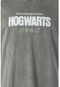 Camiseta De Harry Potter Gris Regular Fit Para Hombre S de WARNER BROS
