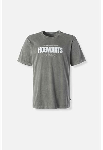 Camiseta De Harry Potter Gris Regular Fit Para Hombre XS WARNER BROS