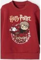 Conjunto De Harry Potter Rojo Bosque Para Bebé Niño 3-6 de WARNER BROS