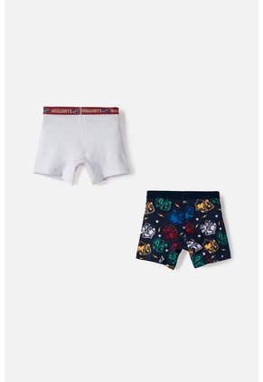 Pack X2 Boxer De Harry Potter Multicolor Para Niño 10