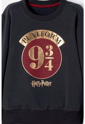 Conjunto De Harry Potter Pantalón Largo Gris Para Niño 12