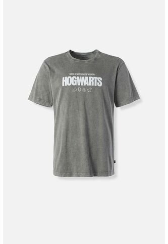 Camiseta De Harry Potter Gris Regular Fit Para Hombre S WARNER BROS