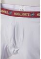 Pack X2 Boxer De Harry Potter Multicolor Para Niño 12 de WARNER BROS
