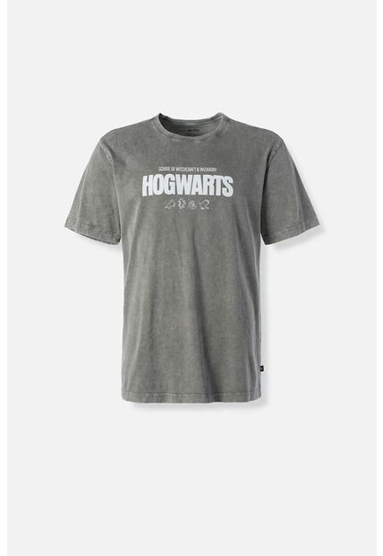 Camiseta De Harry Potter Gris Regular Fit Para Hombre XS