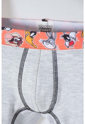 Pack X2 Boxer De Looney Tunes Naranja Y Gris Para Niño 2T A 5T 5T