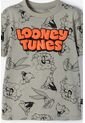 Camiseta De Los Looney Tunes Verde Manga Corta Para Niño 2T A 5T 4T de WARNER BROS